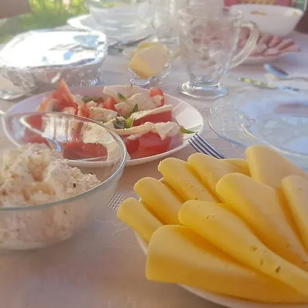 Pod Krokodylem Bed & Breakfast Łeba