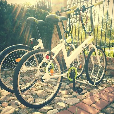 Pod Krokodylem Łeba